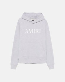 Core Logo Hoodie Grey