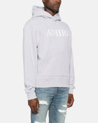 Core Logo Hoodie Grey