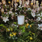 Giambattista Valli Positano Trudon Vela 270 Gr