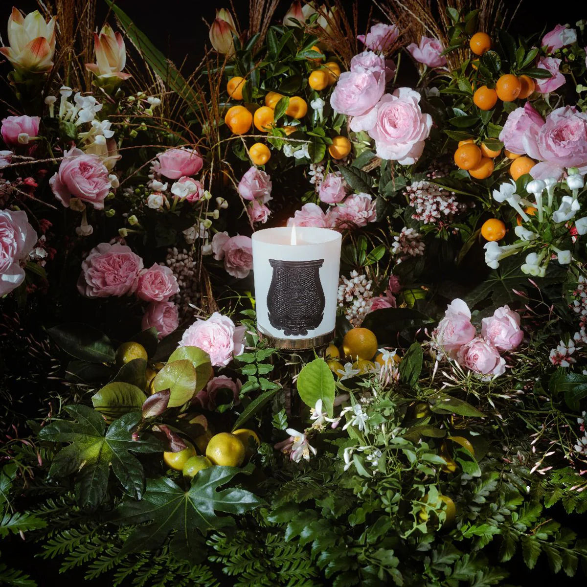 Giambattista Valli Rose Poivrée Trudon Vela 270 Gr